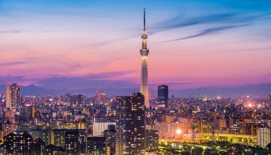 Tokyo: Full-Day Private Tour With English Guide - Good To Know