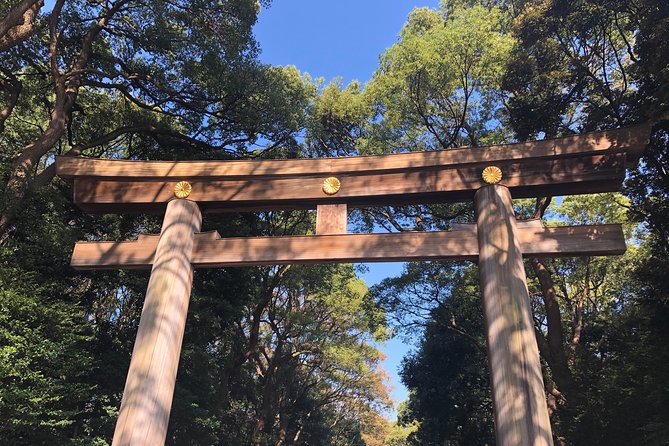 Tokyo Half-day Customized Private Tour - Good To Know