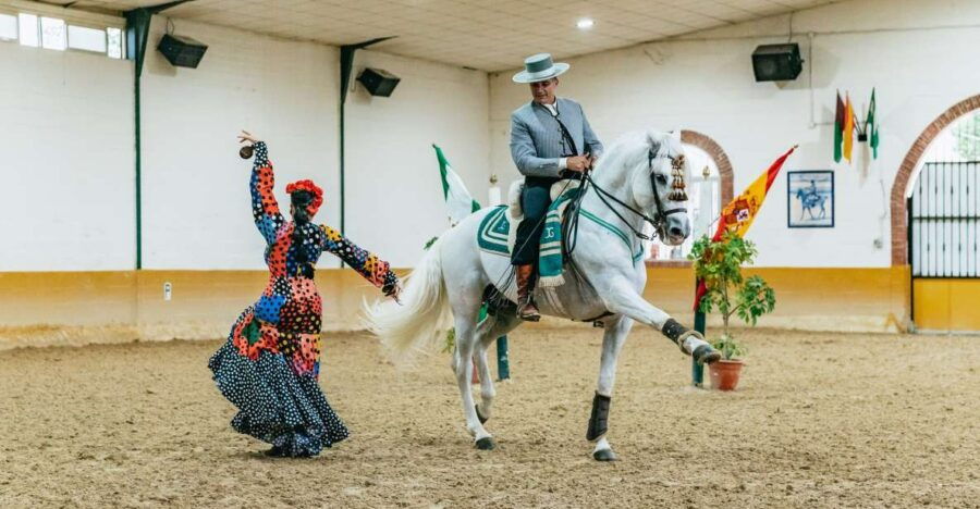 Torremolinos: Andalusian Horse Show With Flamenco Dance - Good To Know