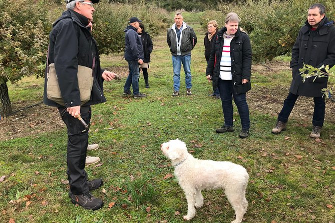 Truffle Farm Visit and Cavage With a Dog in All Seasons