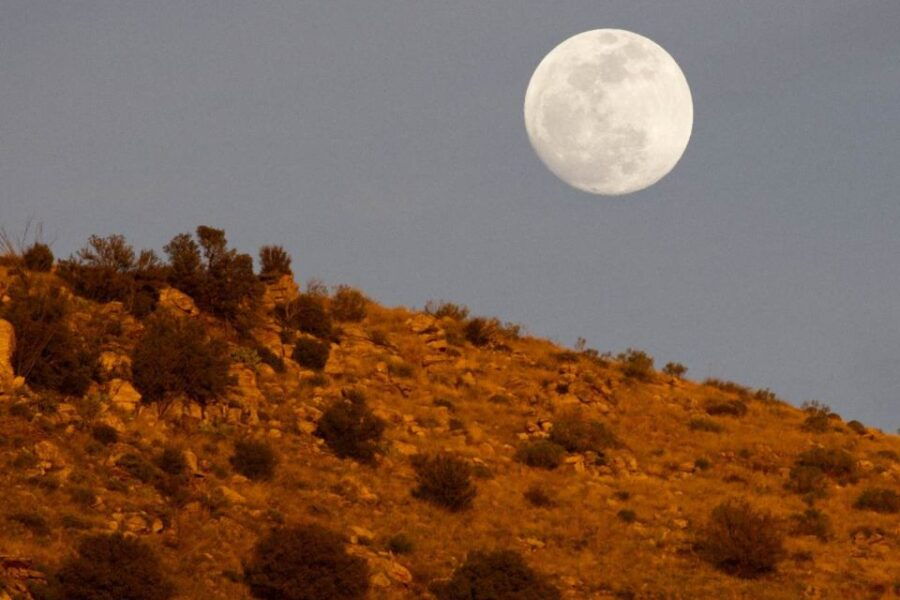 Tucson: Mt Lemmon & Saguaro NP Self-Guided Bundle Tour - Good To Know