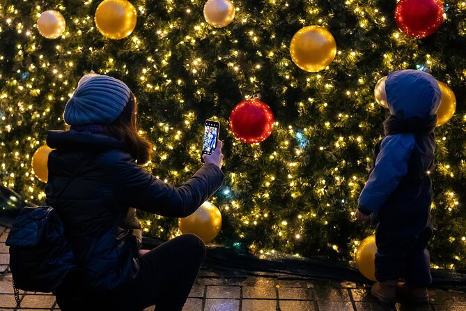 Viennas Christmas Market Magic Tour