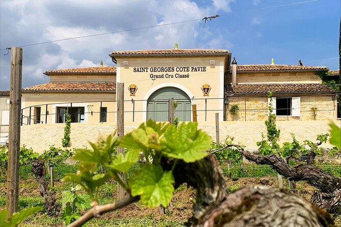Visit and Tasting Château Saint-Georges Cote Pavie, Grand Cru Classé - Good To Know