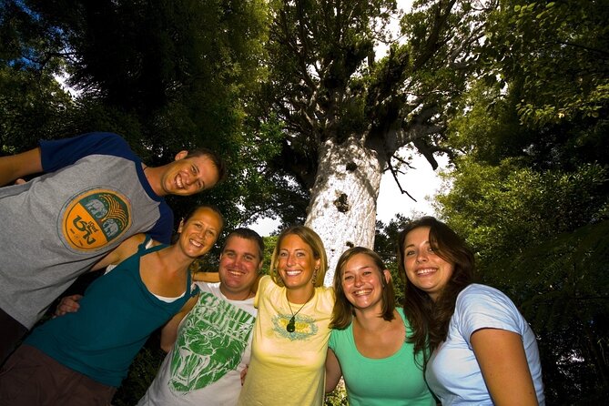 Waipoua Forest: Twilight Encounter - Maori Cultural Eco Night Tour