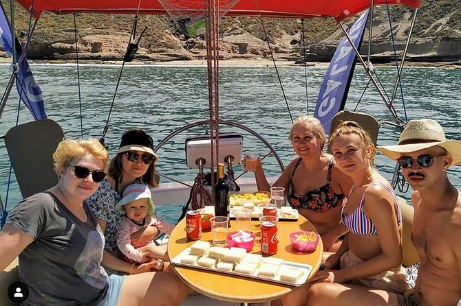 Whale and Dolphin Small Group Sailing From Tenerife South