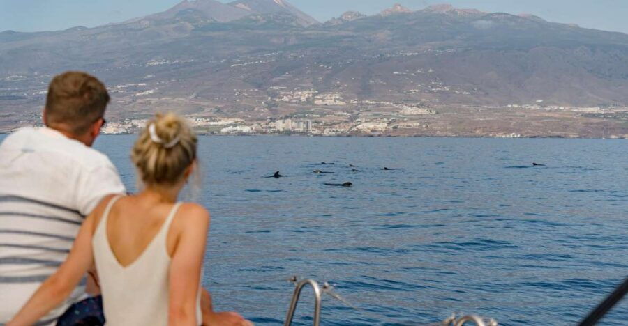 Whale and Dolphin Watching Yacht Trip in Puerto Colon