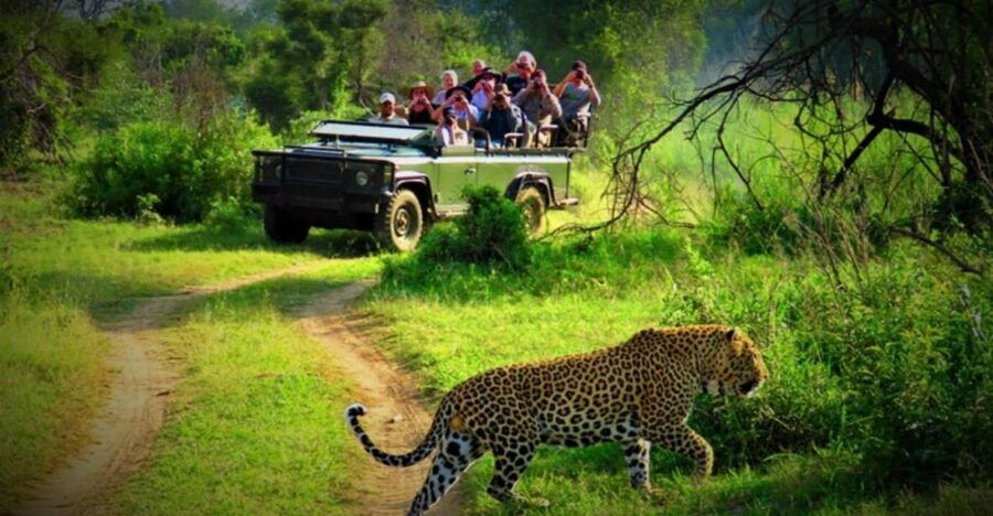 Wildlife Wonders: Private 3-Day Chitwan Safari Tour - Good To Know