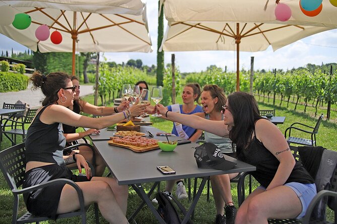 Wine and Food Tasting in the Vineyards in Lazise - Good To Know