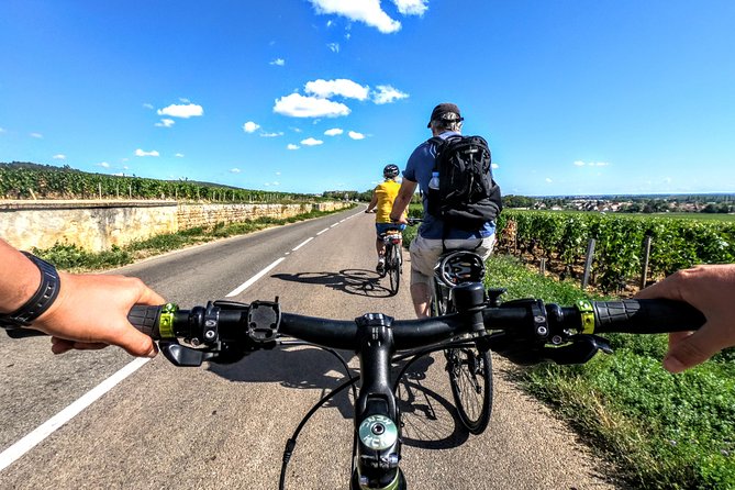 Wine Tour in Burgundy and Tasting by Bike - Beaune