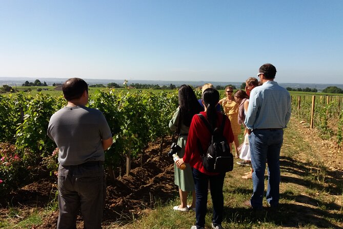Wine Tour in Medoc With Coffee Break