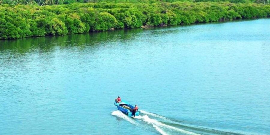 Wingedwonder Ofmuthurajawela Wetland:Birdwatching Expedition - Good To Know