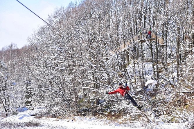 Winter Zipline and Snowshoe Adventure