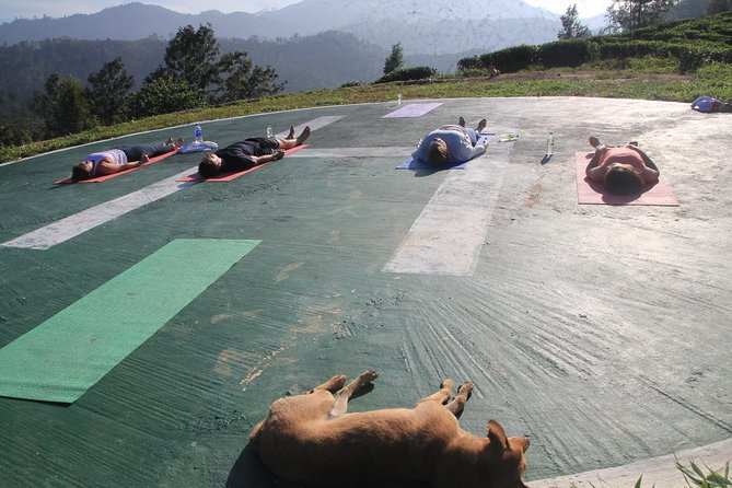 Yoga on Top of Ella Rock and Little Adams Peak