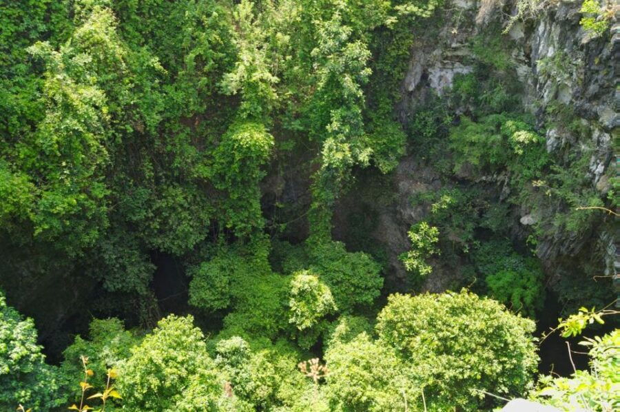 Yogyakarta: Jomblang Cave and Pindul Cave Adventure Tours - Good To Know