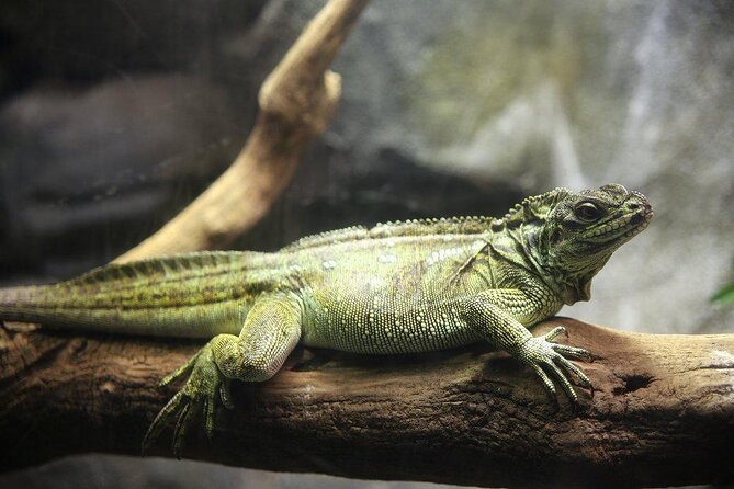 Zaragoza Aquarium Admission Ticket - Good To Know