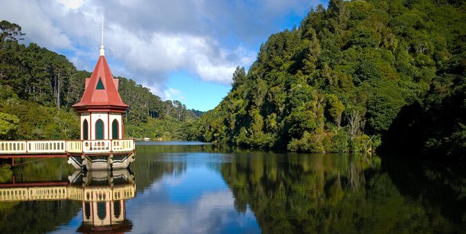 Zealandia Small Group Eco Wildlife Night Tour