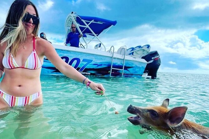 007 Swimming With Pigs Tour on Rose Island