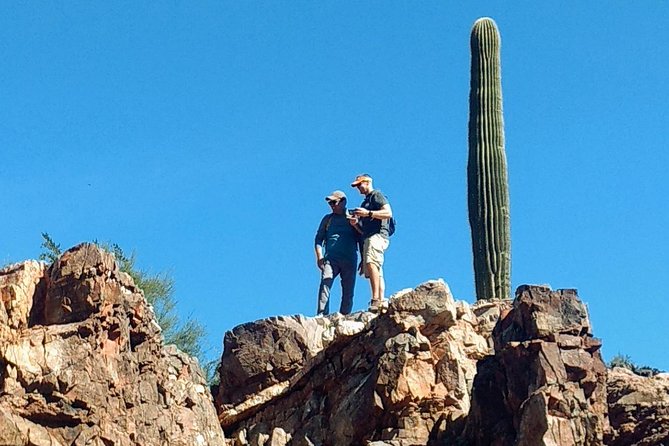 1/2 DAY SONORAN DESERT HIKE. Tour, Workout or Challenge Pace. - Good To Know
