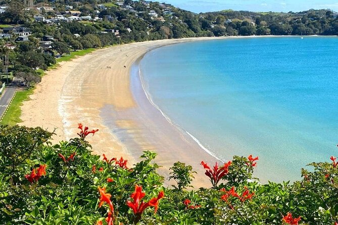 1.5h Waiheke Guided Scenic Tour in Our Electric Van - Good To Know
