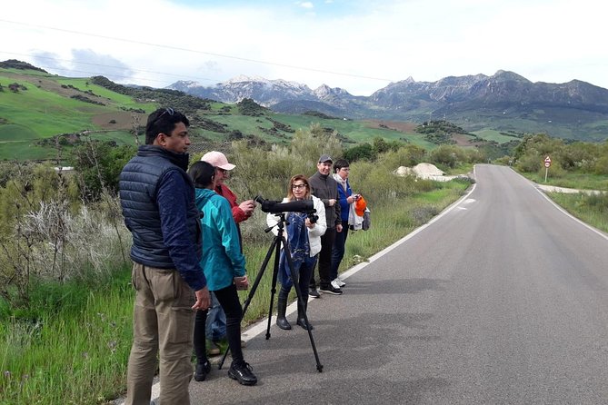 1 Day Excursion to White Villages and Ronda - Traveler Reviews