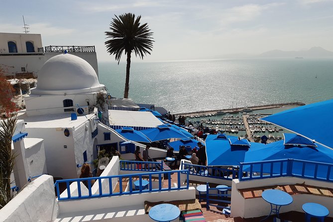 1 Day Excursion Tunis Carthage and Sidi Bousaid From Hammamet