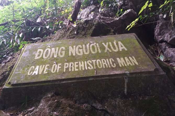 1-Day Explore Cuc Phuong National Park From Hanoi - Best Time to Visit Cuc Phuong National Park