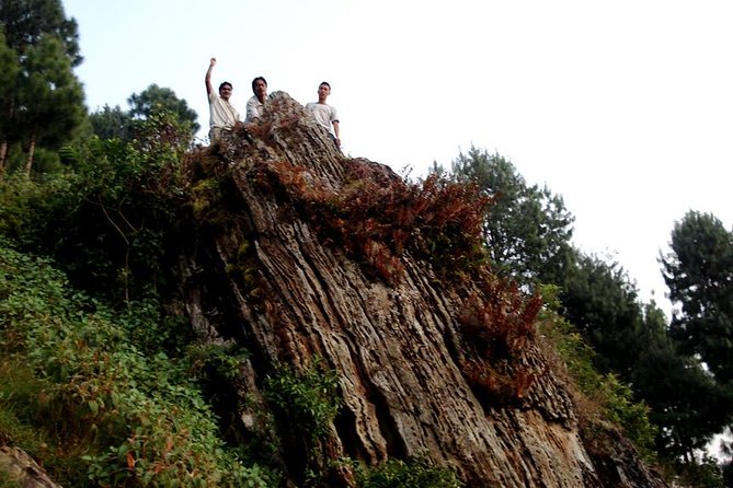 1 Day Hike to Phulchwoki Hill (Kathmandu Valley) - Trail Overview