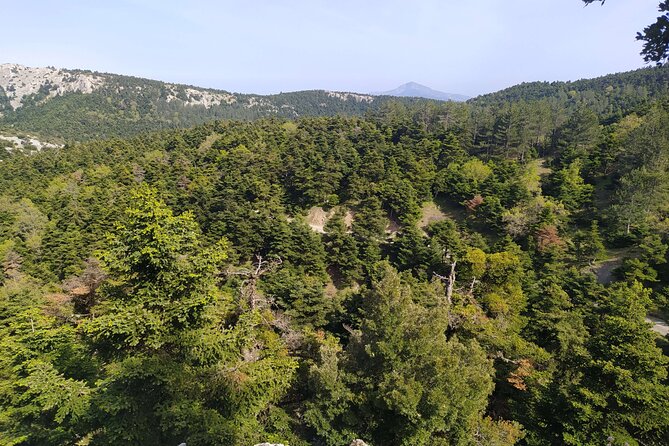 1 Day Parnitha Athens Private Hiking Tour - Good To Know