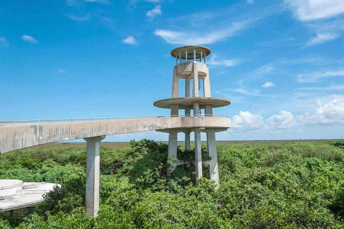 1-Hour Air Boat Ride and Nature Walk With Naturalist in Everglades National Park - Good To Know