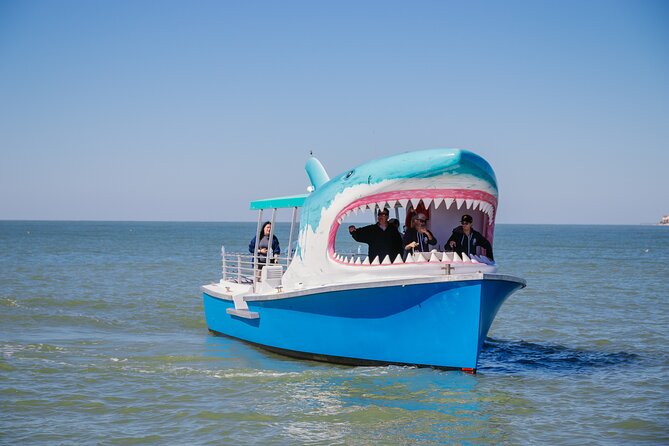 1-Hour Dolphin Sightseeing Adventure Cruise From Madeira Beach