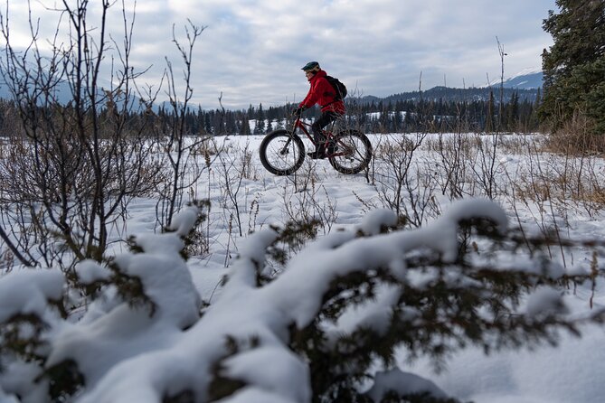 1-Hour Guided Group Fat Bike Tour