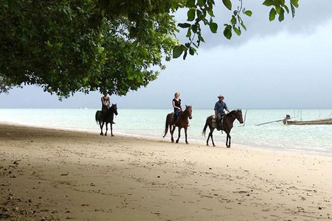 1 Hour Horse Riding Tour On The Beach Krabi - Good To Know