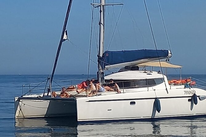 1 Hour Navigation Tour Dolphin Sighting