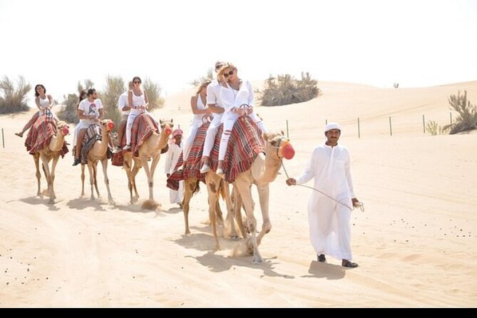 1 Hour Private Camel Ride in Deep Desert - Good To Know