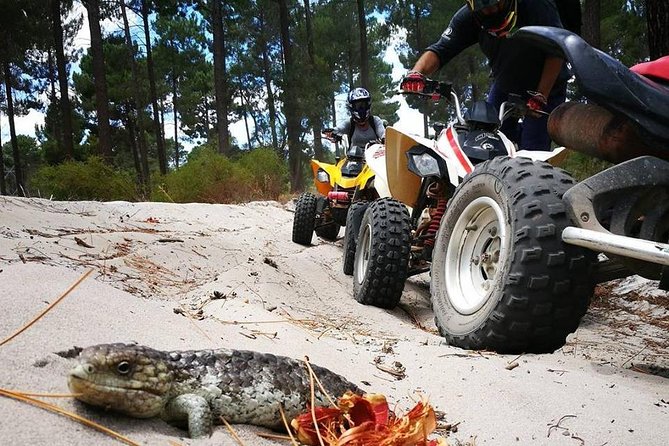 1 Hour Quad Bike Tours, Only 30 Minutes From Perth - Good To Know