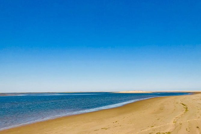 1 or 2 Hour Speed Boat Tour - Ria Formosa - Pricing and Guarantee