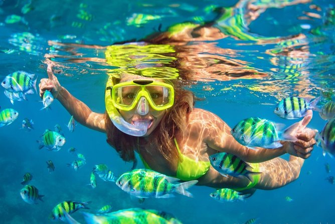 1 Snorkeling Tour in Catamaran. Open Bar & Snacks Included