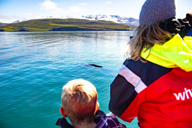 100% Whale Watching - Good To Know