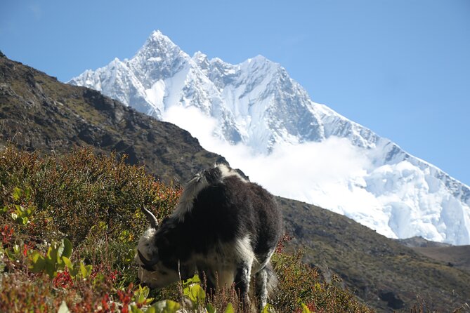 12 Days Private Everest Camp Base Tour From Kathmandu - Meeting and Pickup Details
