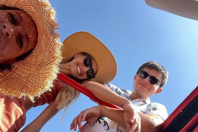 1/2 Day Private Vintage Tour, Vineyards of Saint-Tropez - Tour Details