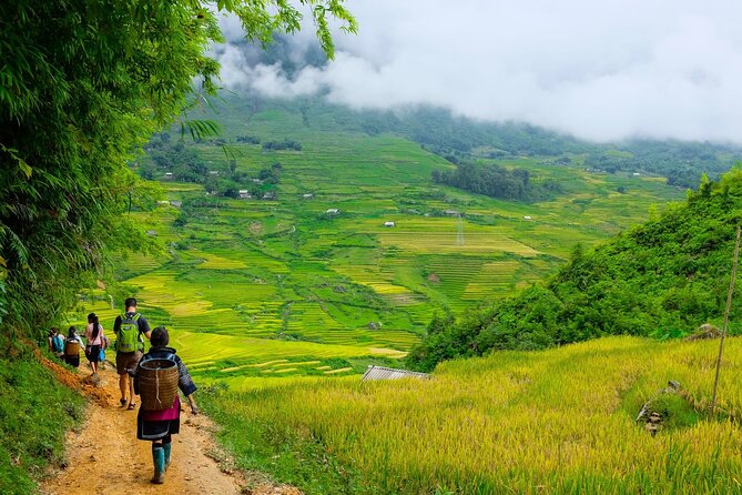 1 Day Sapa Authentic Trekking ( off Beaten Track ) - Trekking Through Sapas Hidden Trails