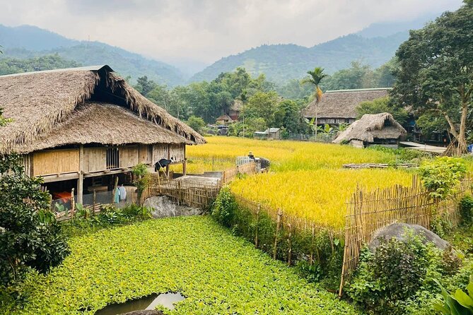 1 Day Trekking Tour in Ha Giang With Local Experts - Meeting and Pickup Details