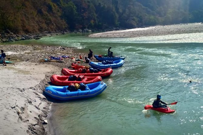 1 Day Trishuli Rafting From Pokhara - Rafting Experience Overview