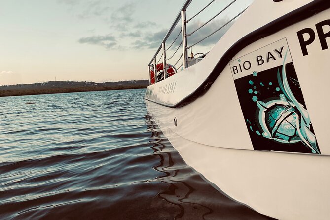 1-Hour Bioluminescent Boat Tour in Mosquito Bay, Vieques - Tour Experience