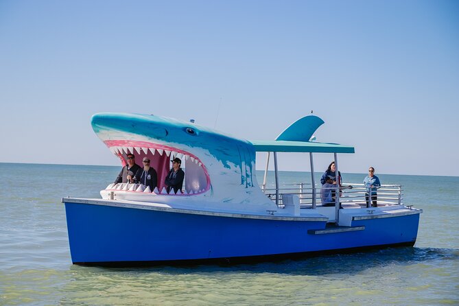 1-Hour Dolphin Sightseeing Adventure Cruise From Madeira Beach - Overview and Experience Details