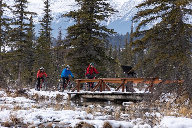 1-Hour Guided Group Fat Bike Tour - Tour Details