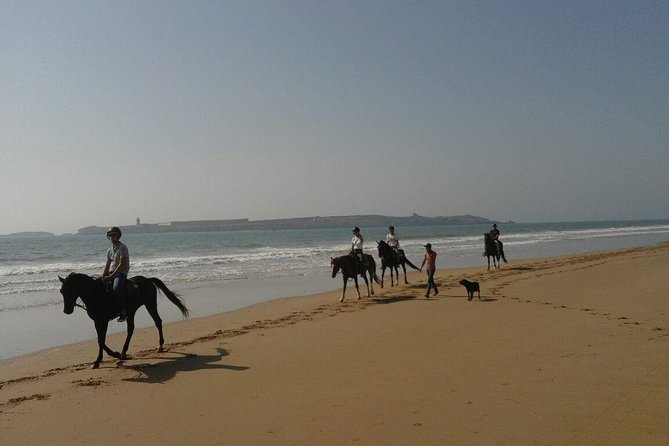 1 Hour Horse Ride on the Beach of Essaouira - Pricing and Value