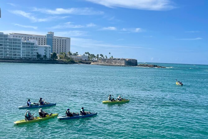 1-Hour Pedal Kayak Guided Adventure Tour in Condado Lagoon - Tour Details