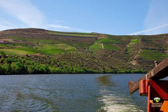 1-Hour Rabelo Boat Trip in Pinhão - Trip Overview
