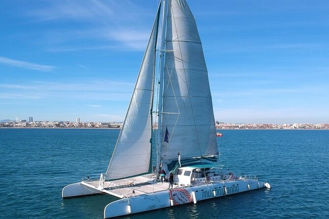 1 Hour Sailing Excursion in Valencia - Overview and Inclusions